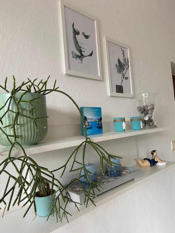 Apartment Andreja سينج المظهر الخارجي الصورة